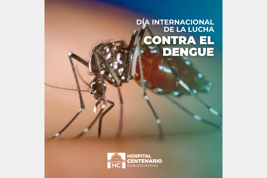 Día Internacional de la lucha contra el Dengue